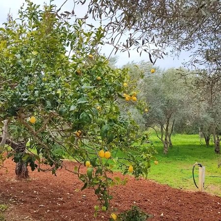 Casa Vacanze Da Nonna Mela Alghero Exteriör bild
